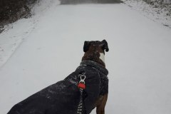20180112_140632