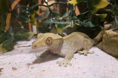 20171202_172400