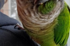 20220112_145724